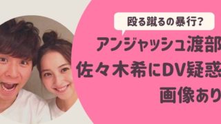 アンジャッシュ渡部佐々木希にDV疑惑